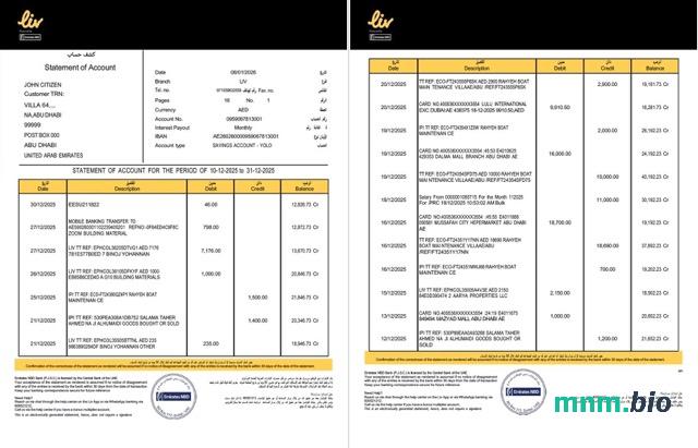 Szablon wyciągu z Banku Inwestycyjnego ZEA w programie Word i PDF